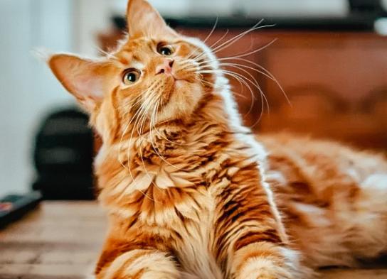 ¿No sabes por dónde empezar?