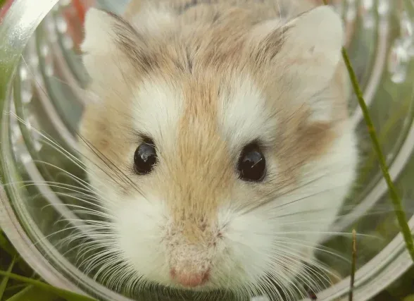 ¿Dónde puedes encontrarnos?