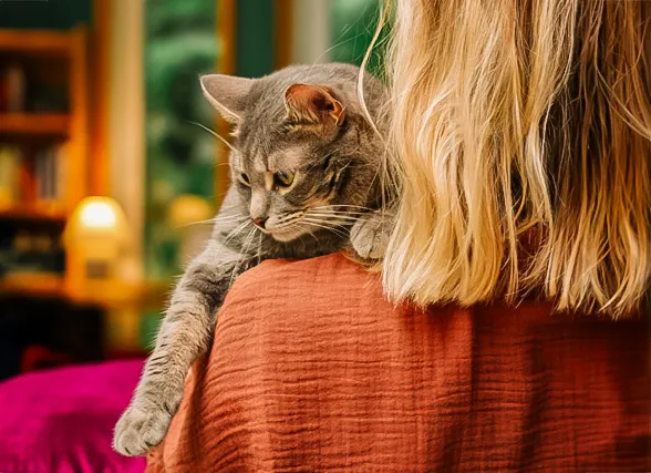 ¿Por qué realizar el proceso de incineración de tu gato con Artemis?