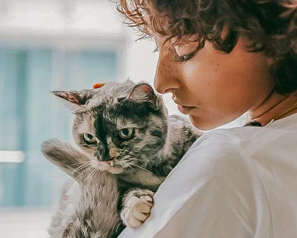 que hacer cuando muere una mascota